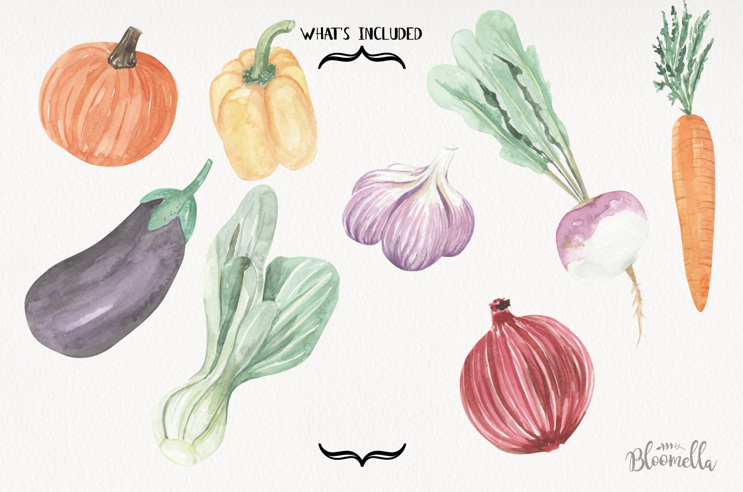 High quality vegetable illustrations.