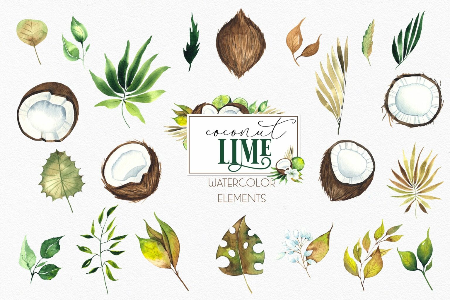 Watercolor Coconut Lime Collection – MasterBundles
