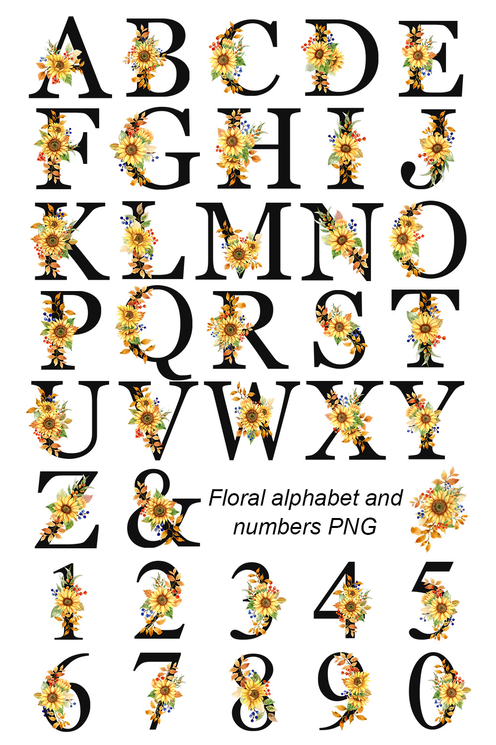 Floral and Golden Alphabet and Numbers pinterest image.