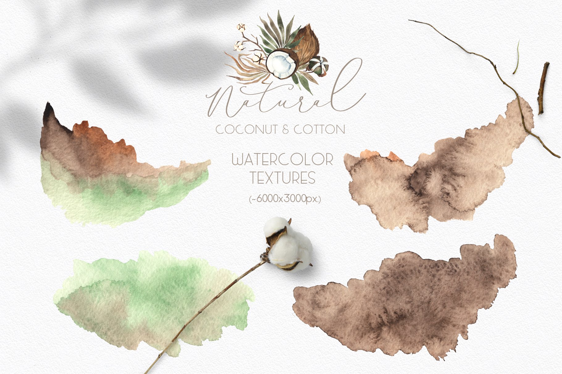 Watercolor brushes for decorating your illustration.