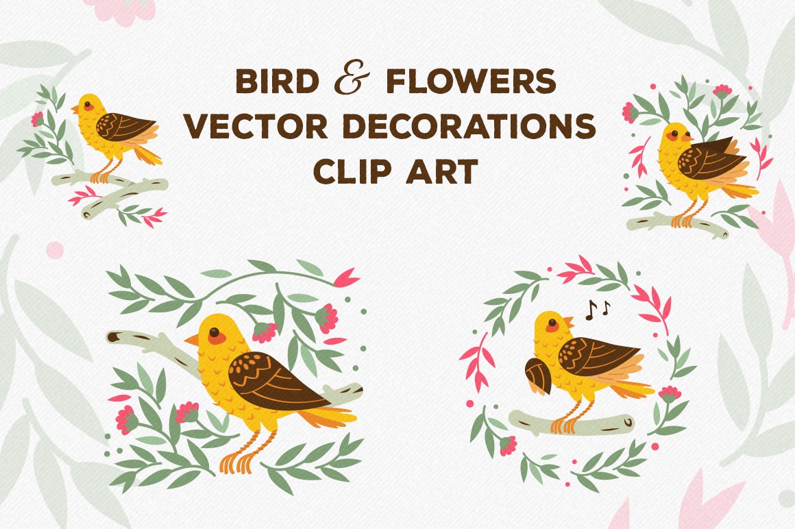 Some birds illustration options.