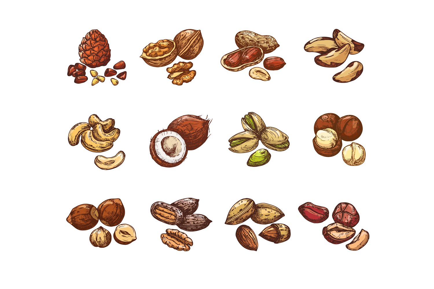 Diverse of realistic nuts.