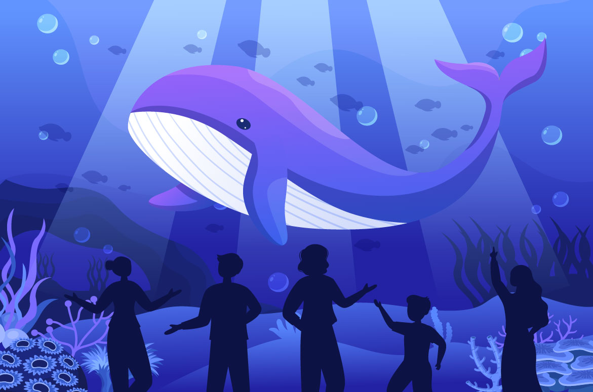 11 Aquarium Flat Illustration.