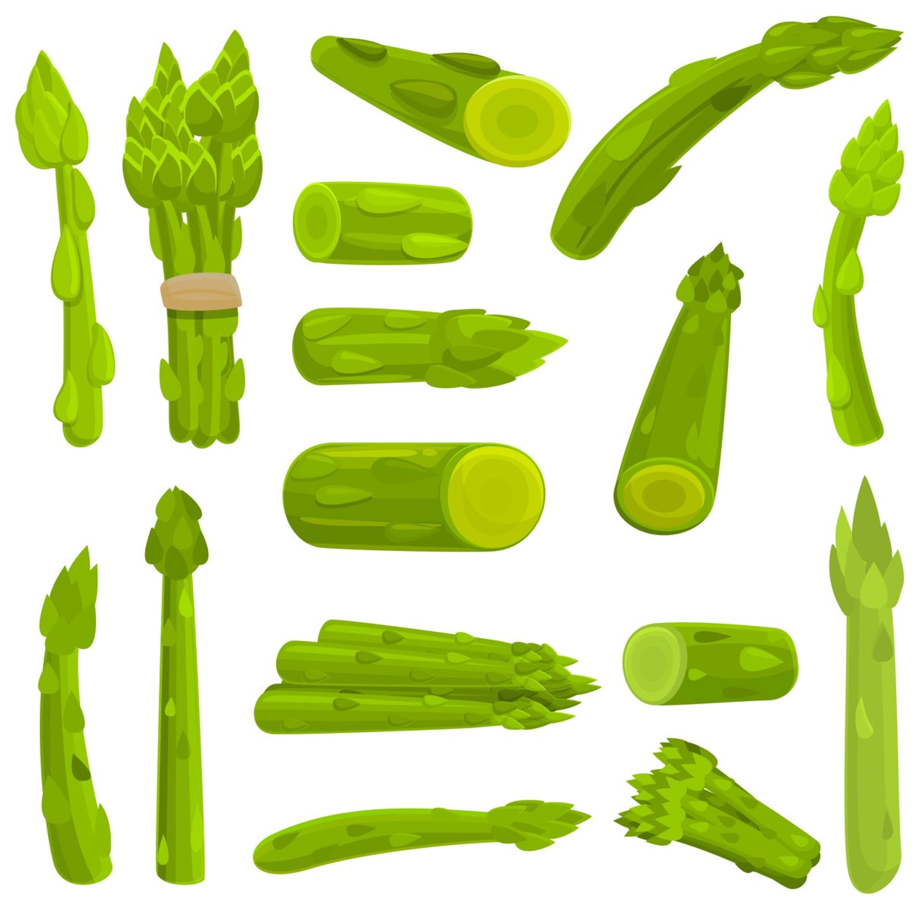 Asparagus icons set, cartoon style cover.