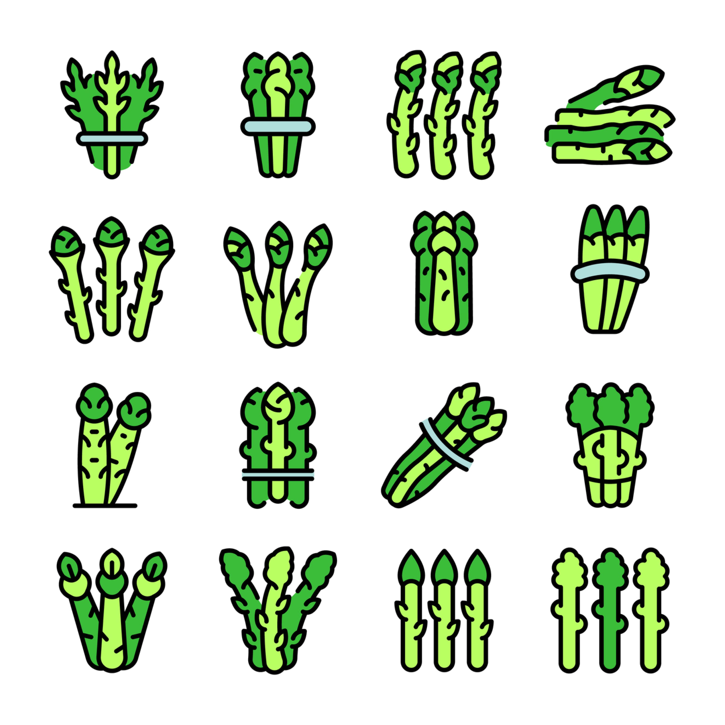 Asparagus icons set vector flat cover.