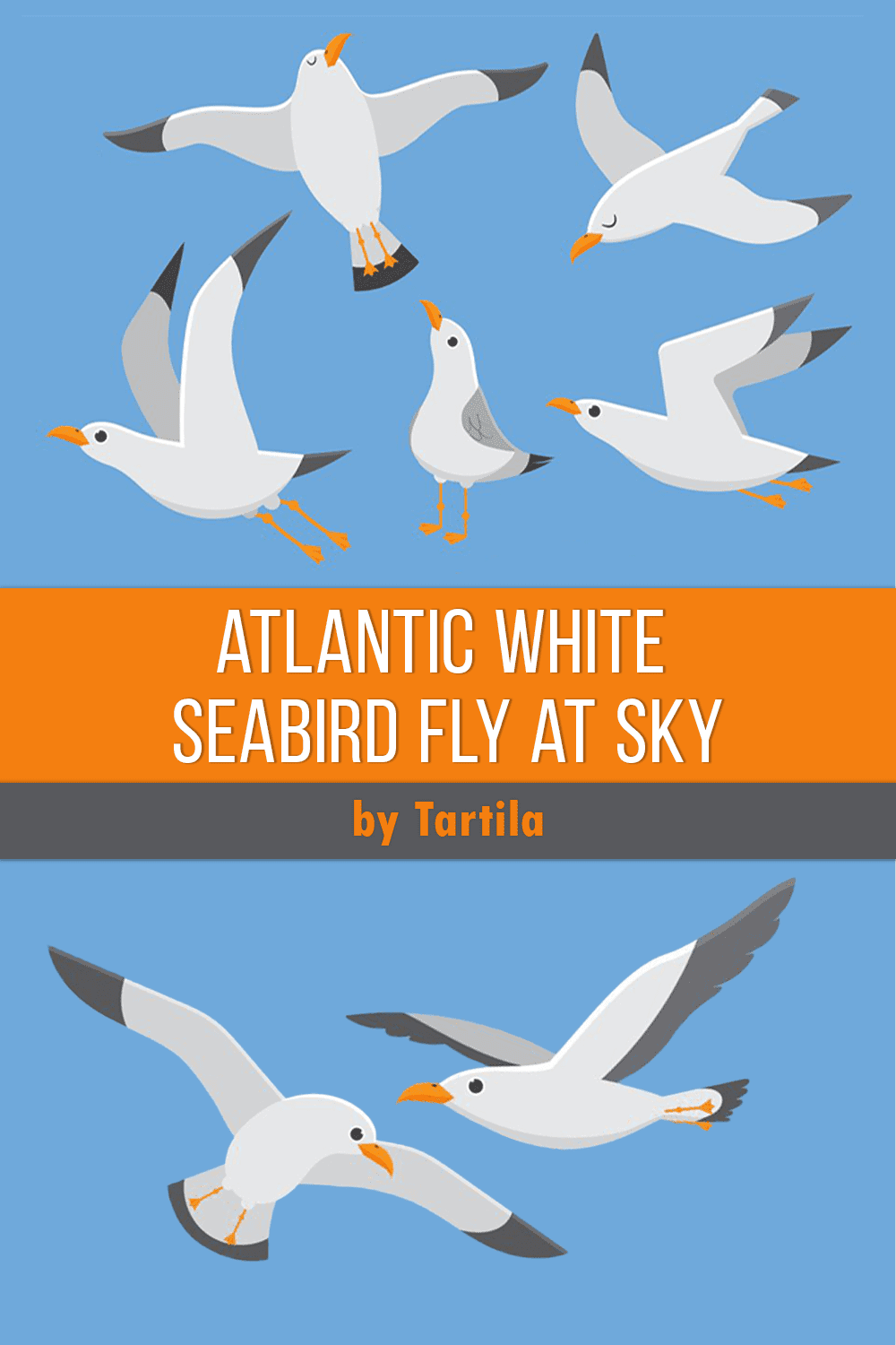 Atlantic white seabird fly at sky. Beach seagull at quay. Pinterest.
