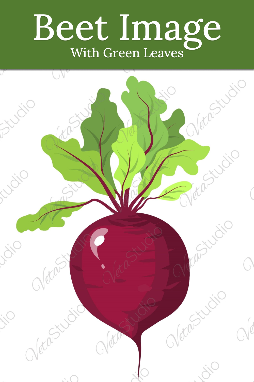 beet image with green leaves. red beetroot. svg. vector 01 1