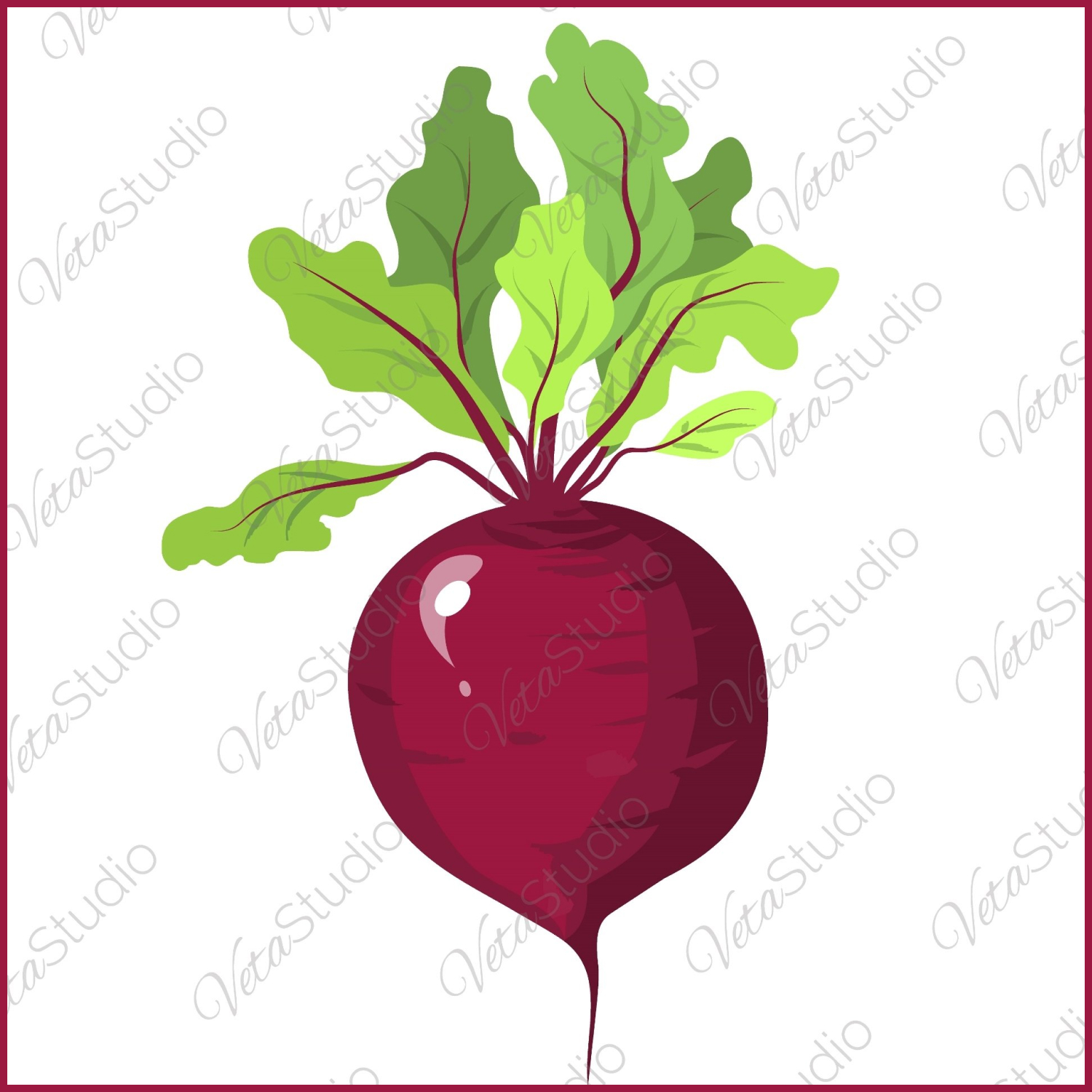 Beet image with green leaves. Red beetroot. SVG. VECTOR. cover.