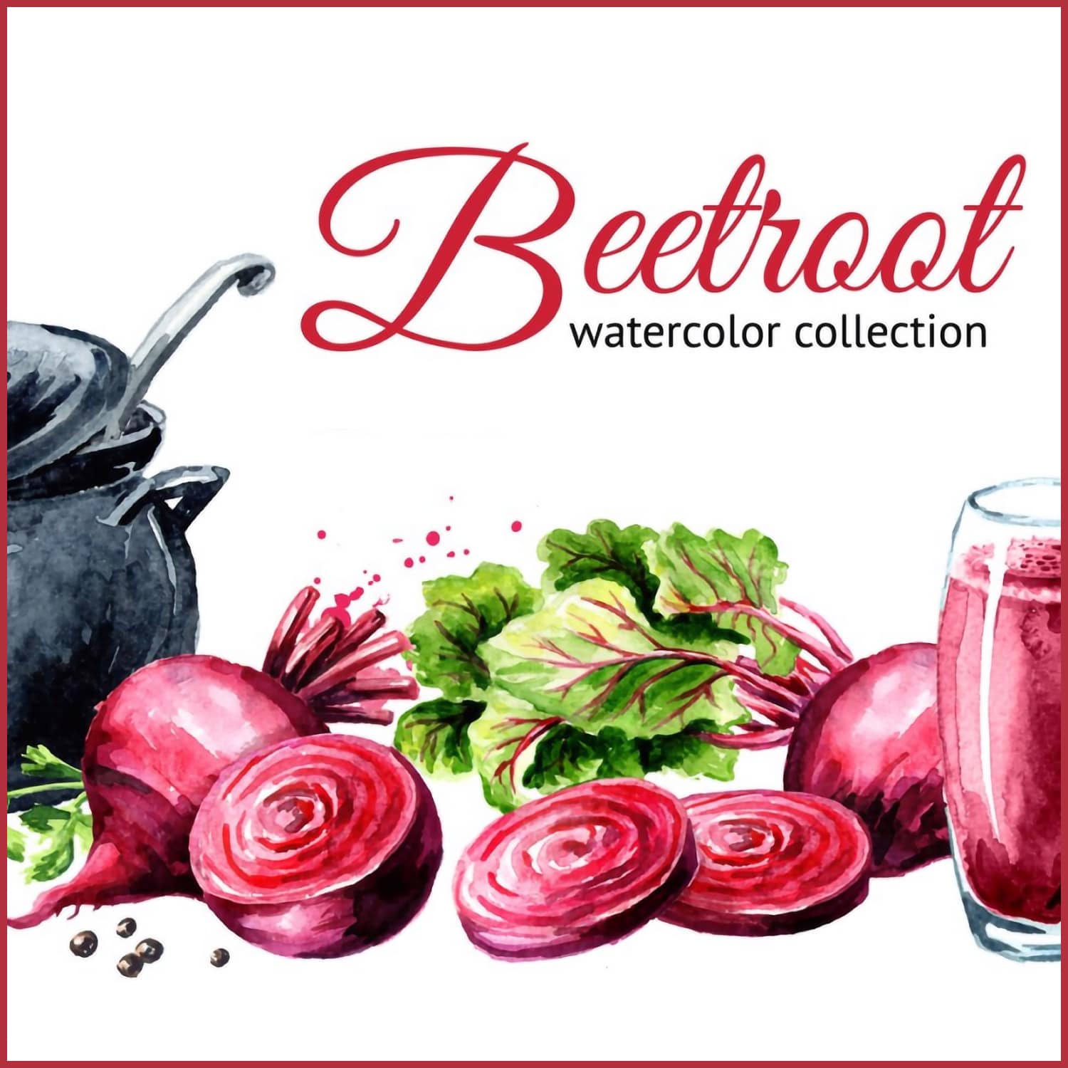 Beet root. Watercolor collection.