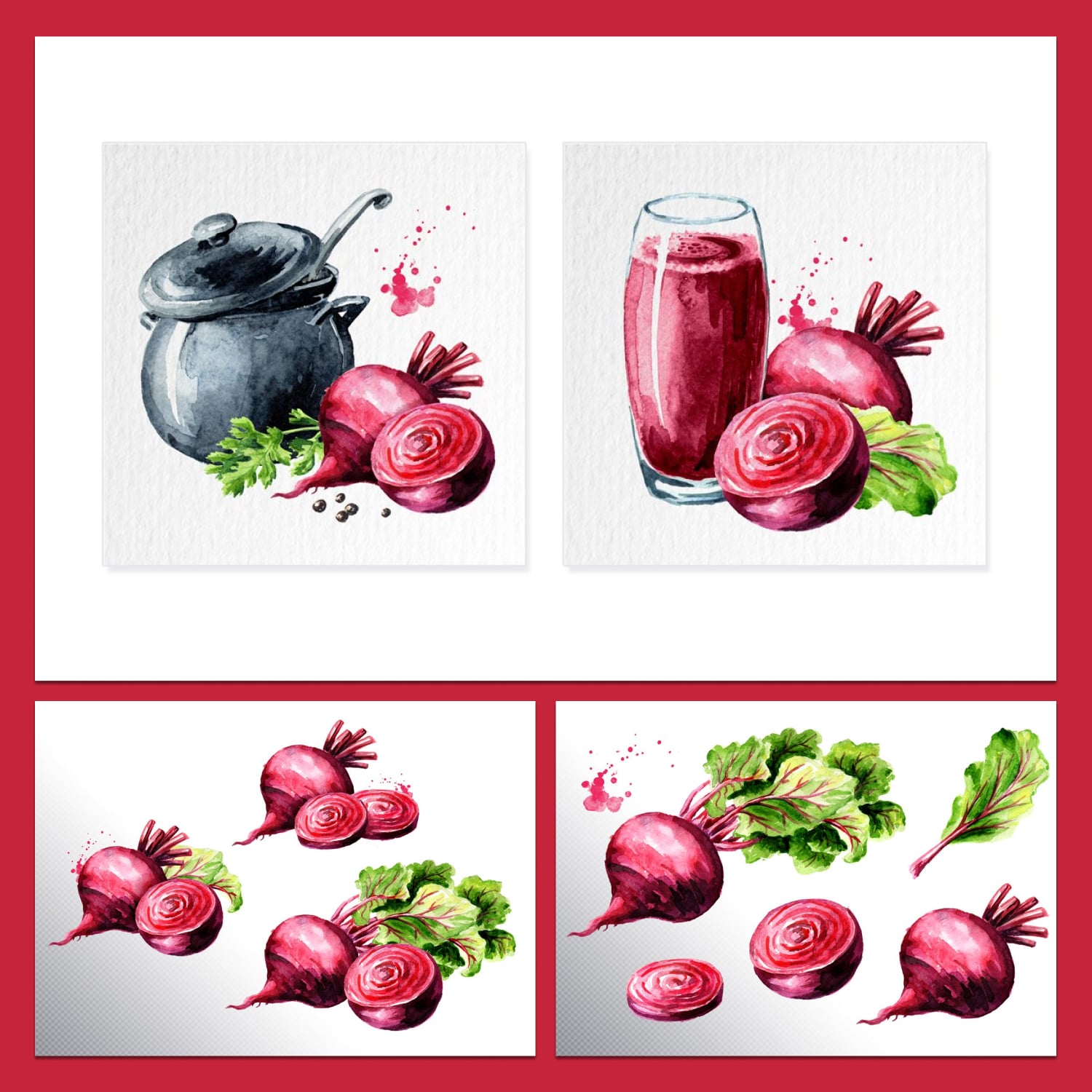 Beet root. Watercolor collection cover.