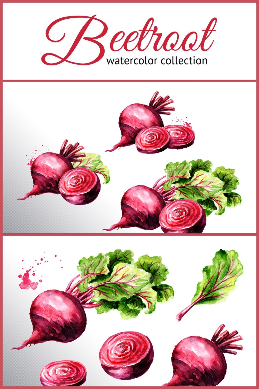 beet root. watercolor collection 03 min