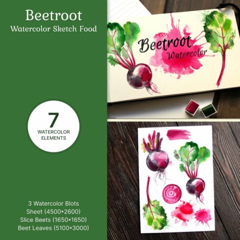 Beetroot. Watercolor sketch food.