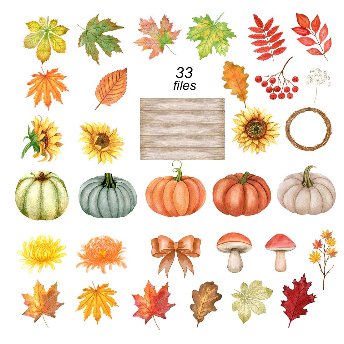 Watercolor Autumn Collection with Pumpkins, Leaves and Flowers elements.