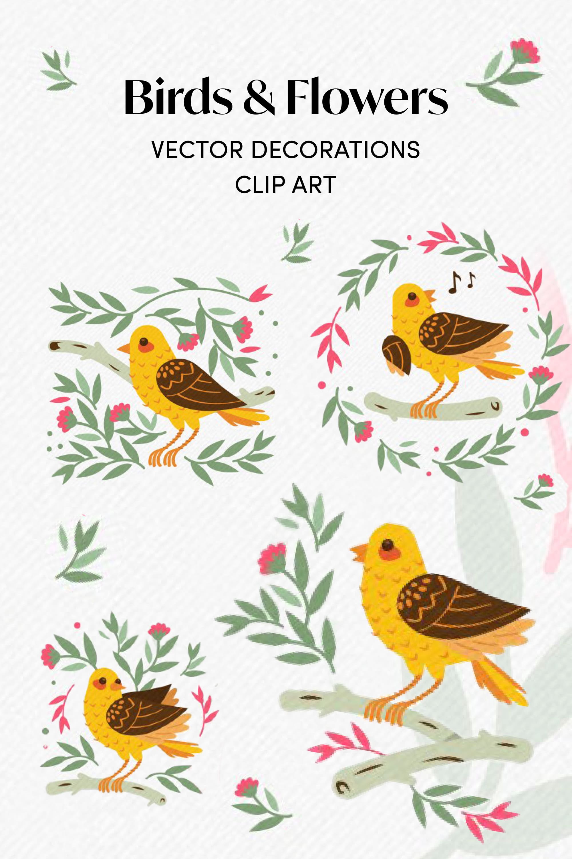 birds and flowers vector decorations pinterest