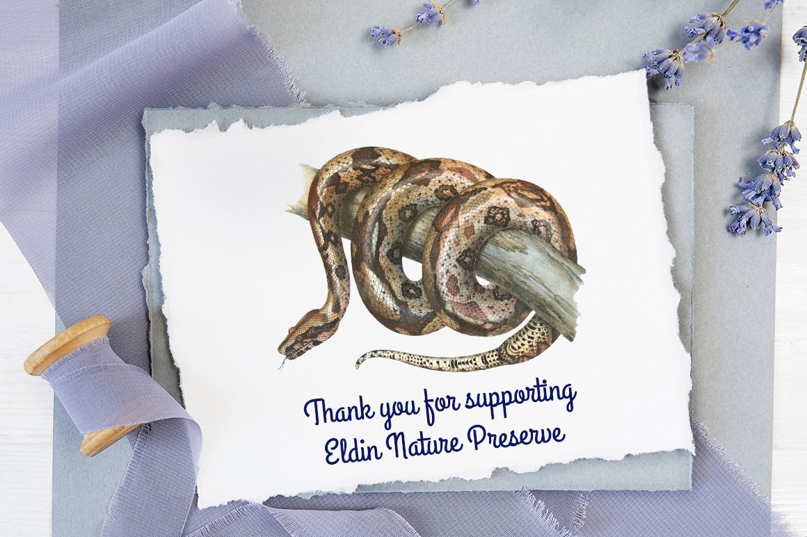 Thank you card with the image of a large boa constrictor.