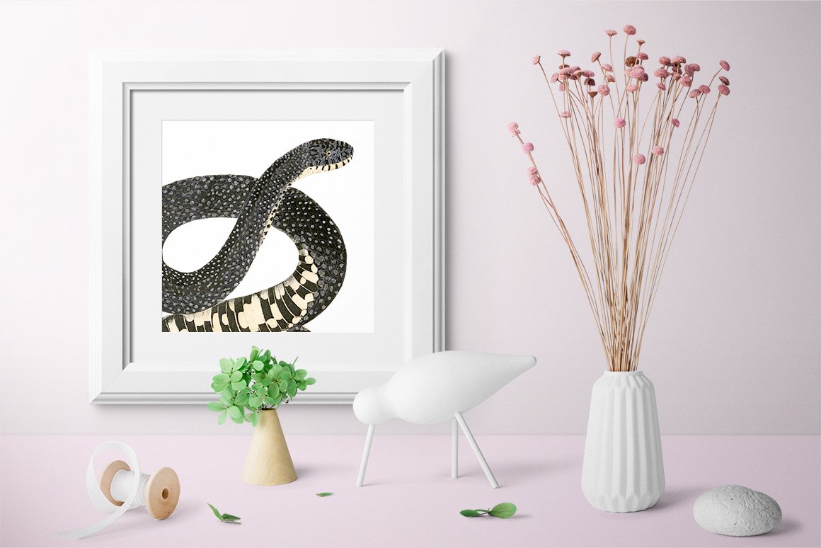 Graceful wall picture with colorful bullsnake.