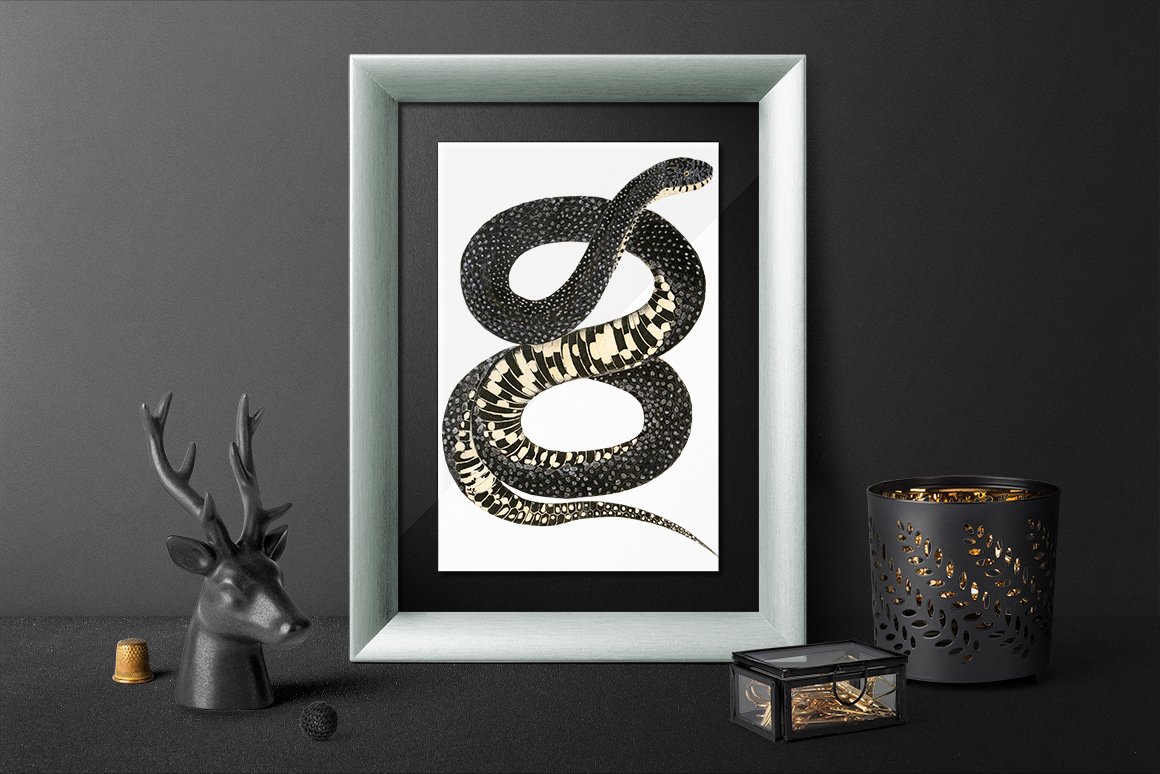 Wall picture with a white wooden frame with an image of a charming bullsnake.