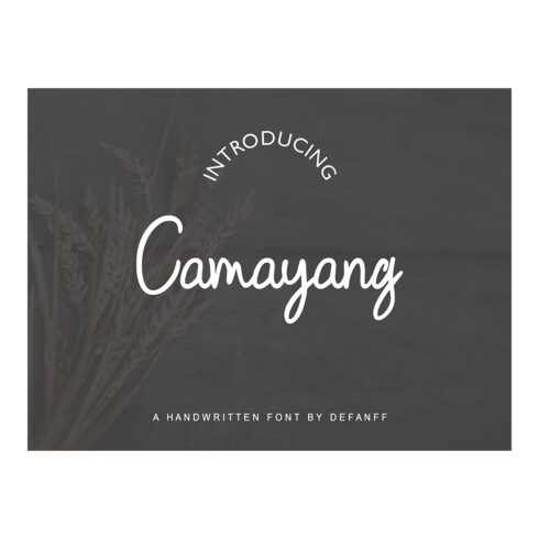 Camayang Handwritten Script Font main cover.