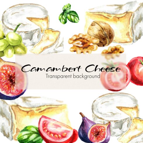 Collection of bright images of camembert cheese.