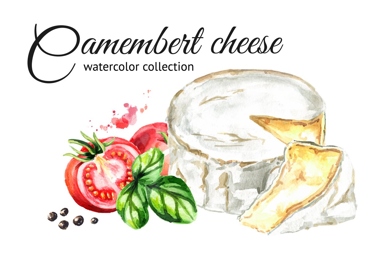 Hand-drawn hand-drawn watercolor image of camembert tomato cheese.