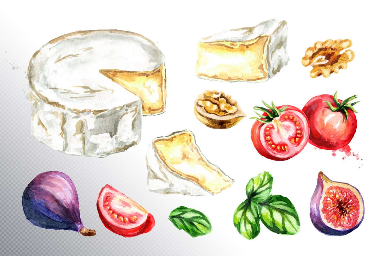 Hand-drawn watercolor set of camembert cheese and nuts and tomatoes.