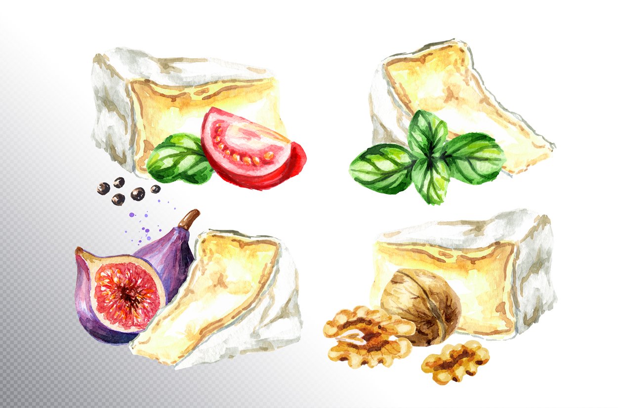 Set of watercolor images of camembert cheese and nuts and tomatoes.