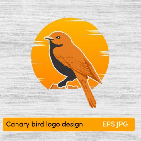 Canary bird logo design vector illustration.