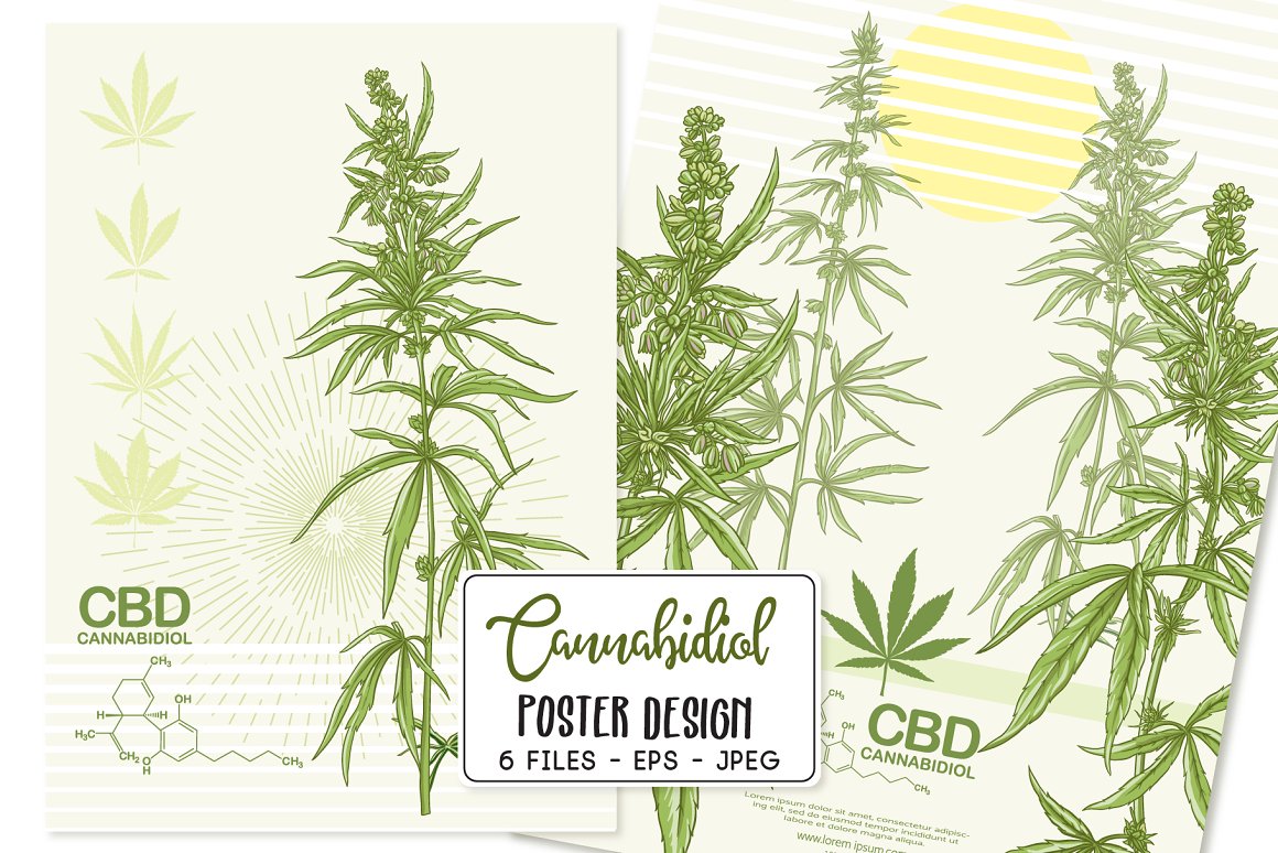 2 posters with image cannabis plants and CBD Cannabidiol.