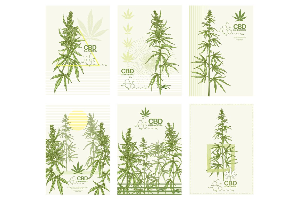 6 posters with different images cannabis plants and CBD Cannabidiol.