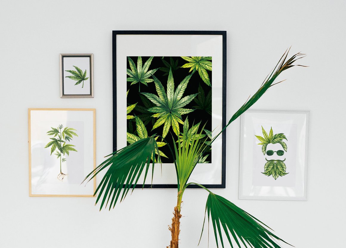 Picture Watercolor Botanical Cannabis.