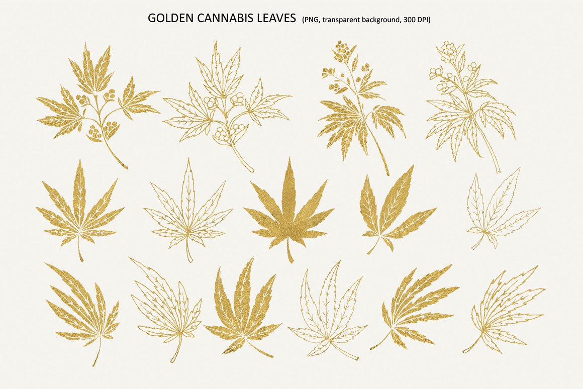 Golden Cannabis Leaves.