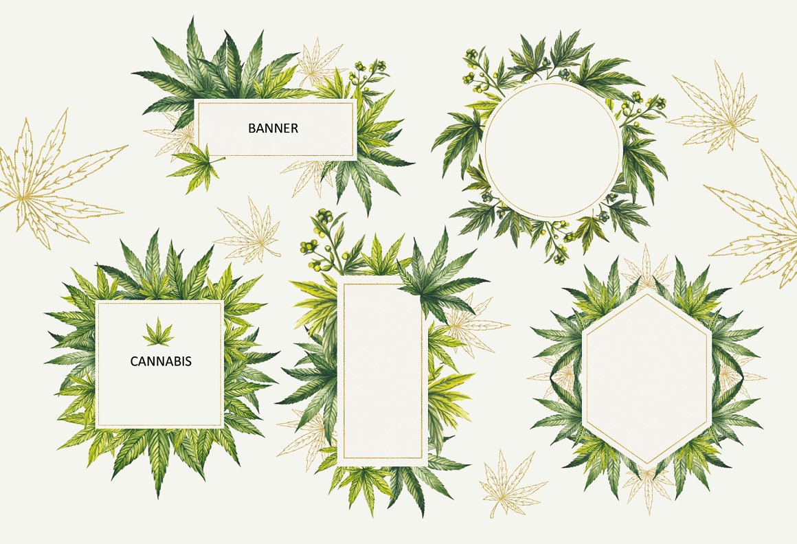 Watercolor Botanical Cannabis.