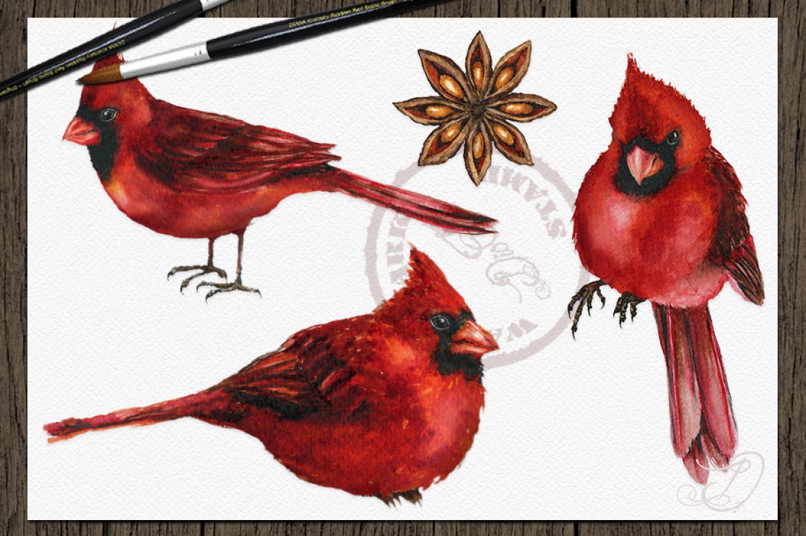 Some red birds.