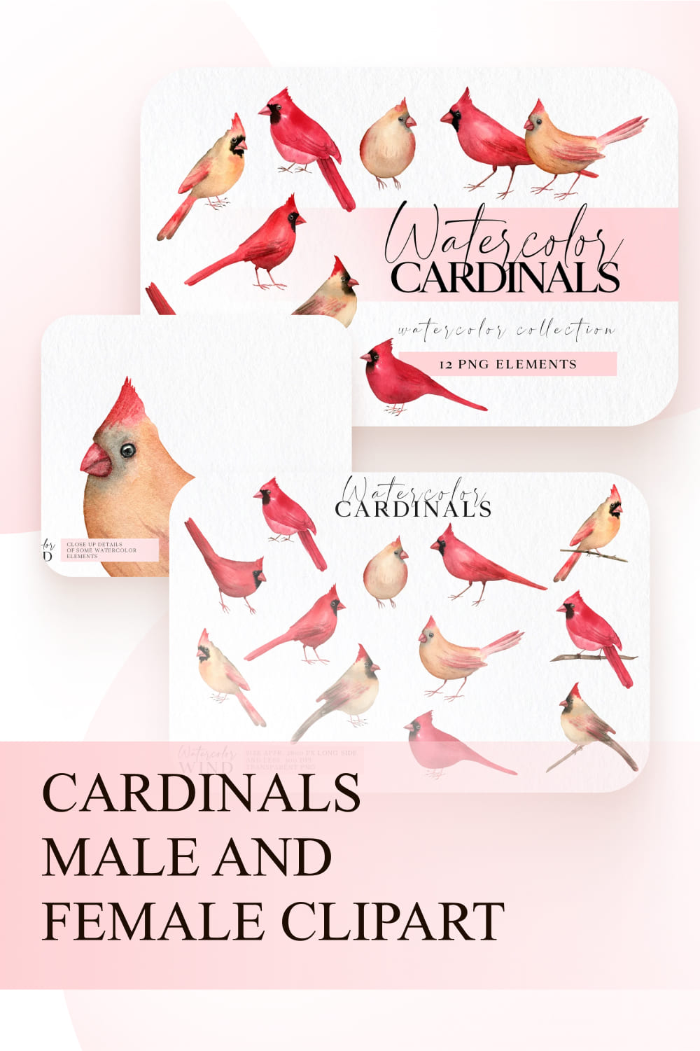 cardinals male and female clipart 1000x1500