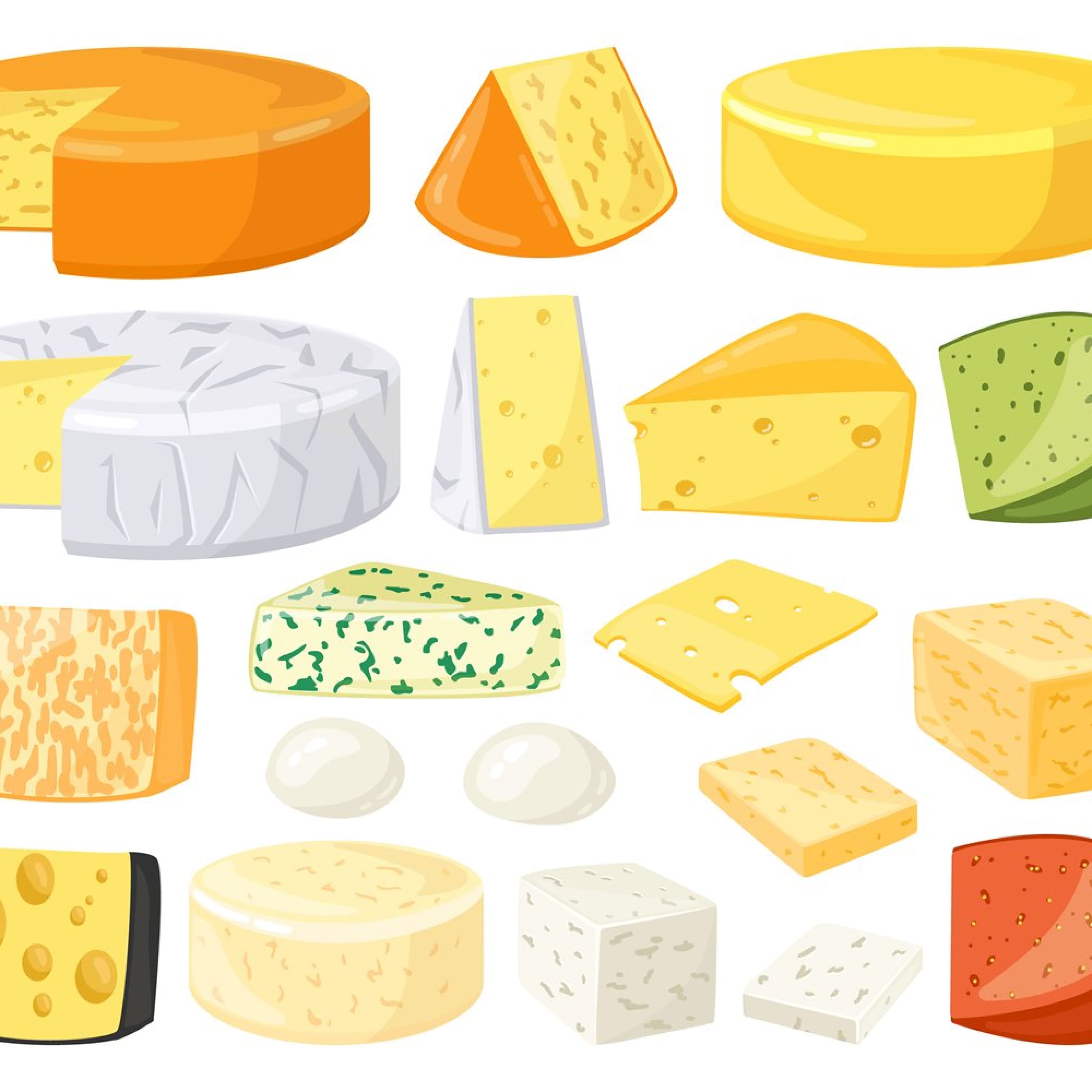 Collection of cartoon images of different types of cheese.