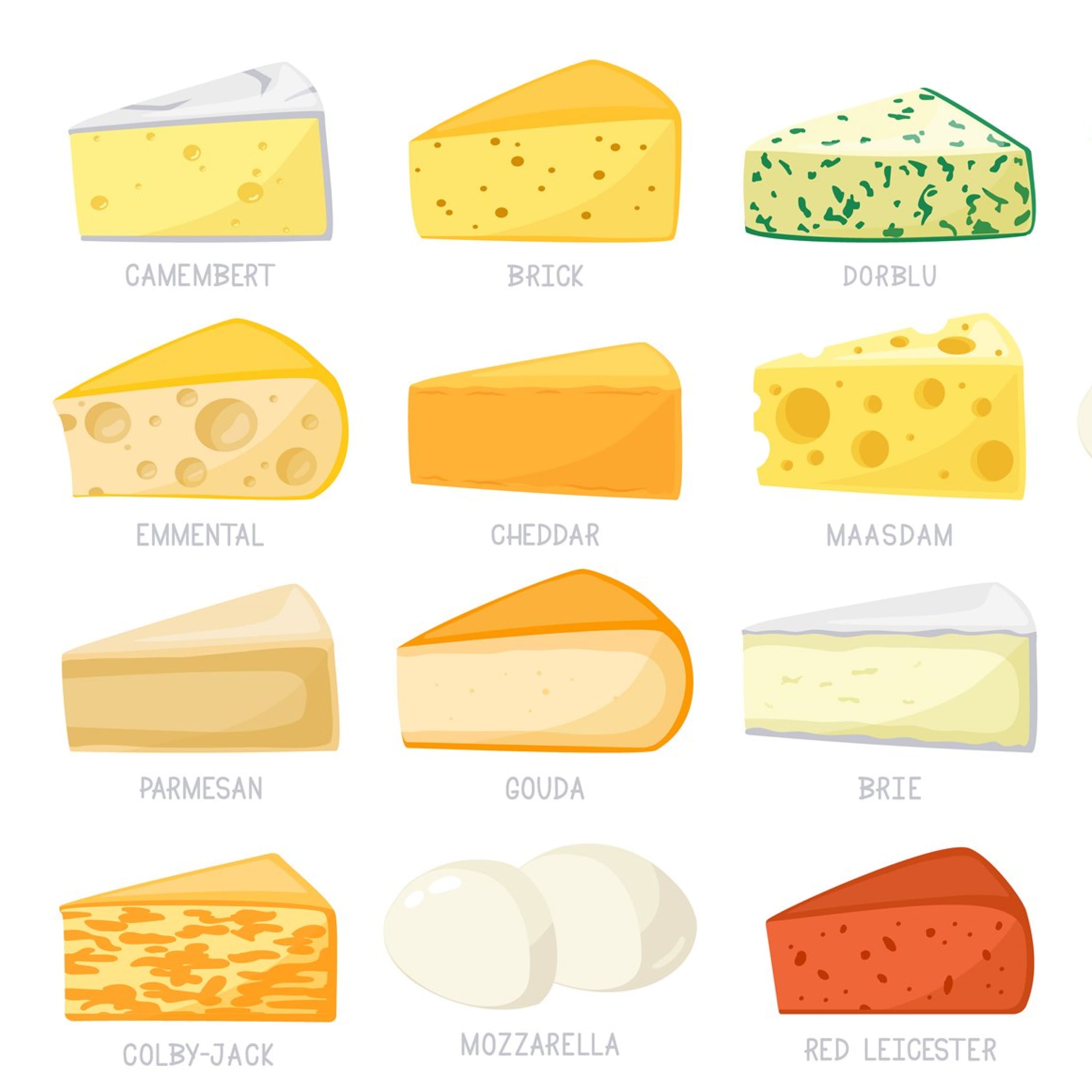 Cartoon image of different types of cheeses.