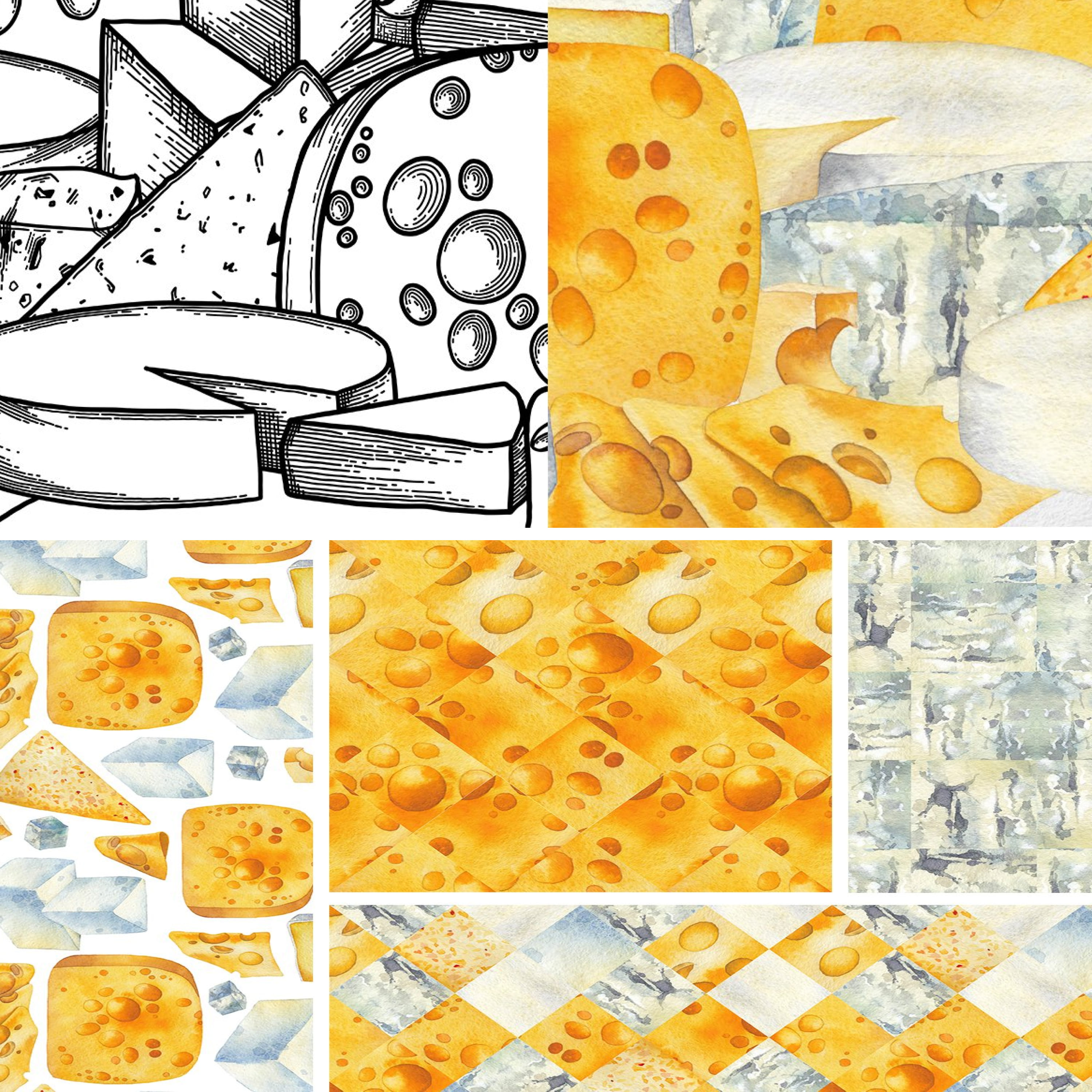 Set of colorful images of hard cheeses.