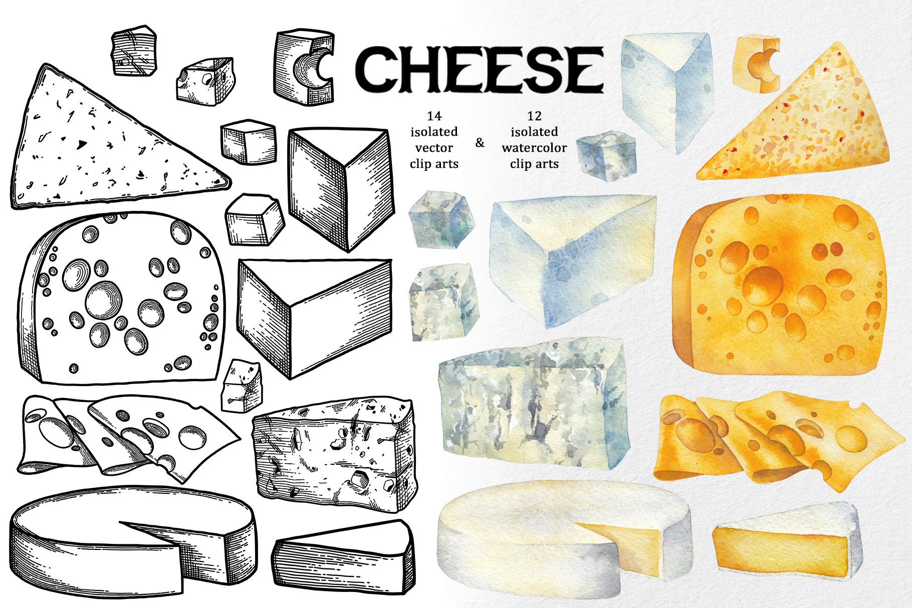 Set of vector and watercolor images of various types of cheese.