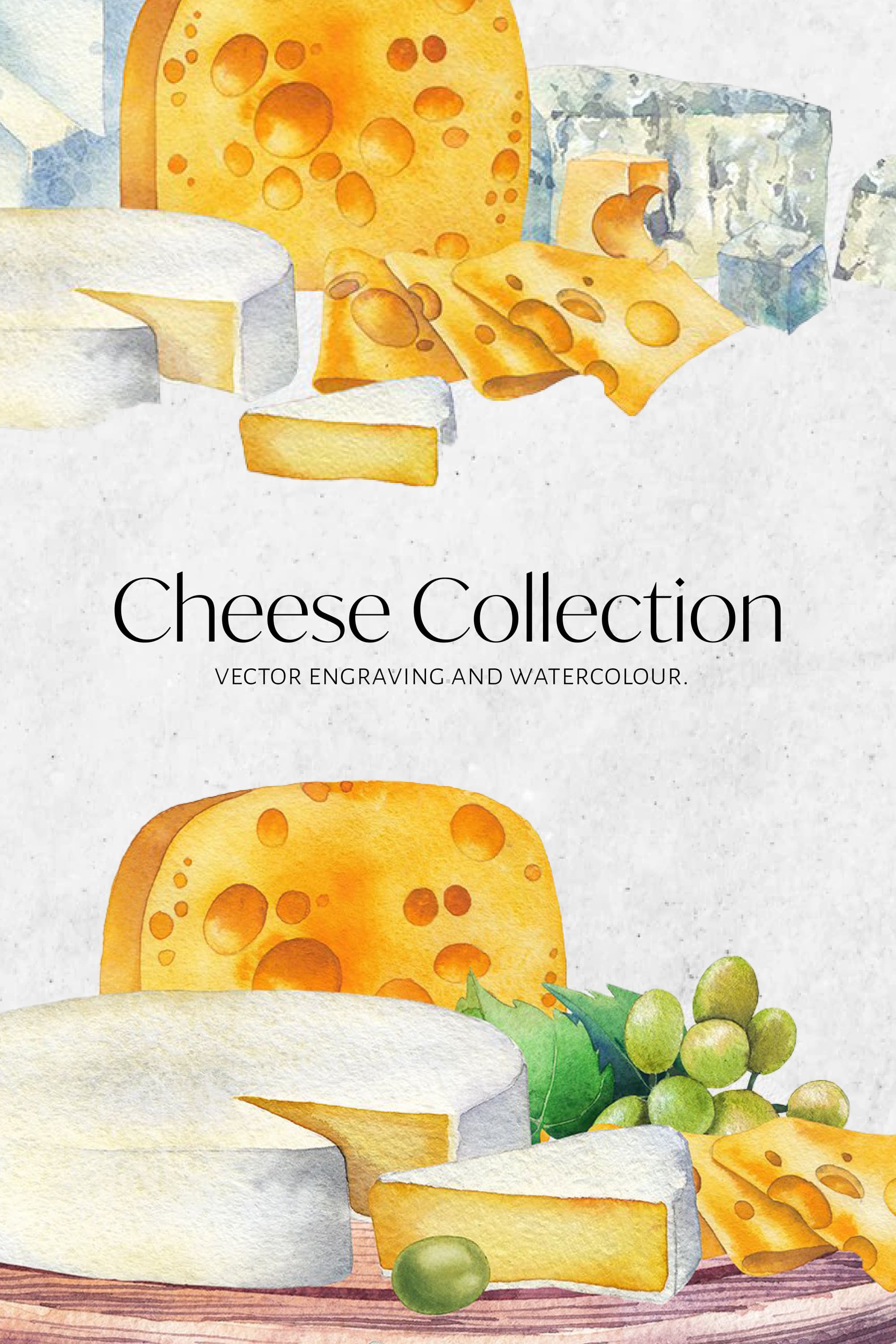 Collection of colorful images of hard cheeses.