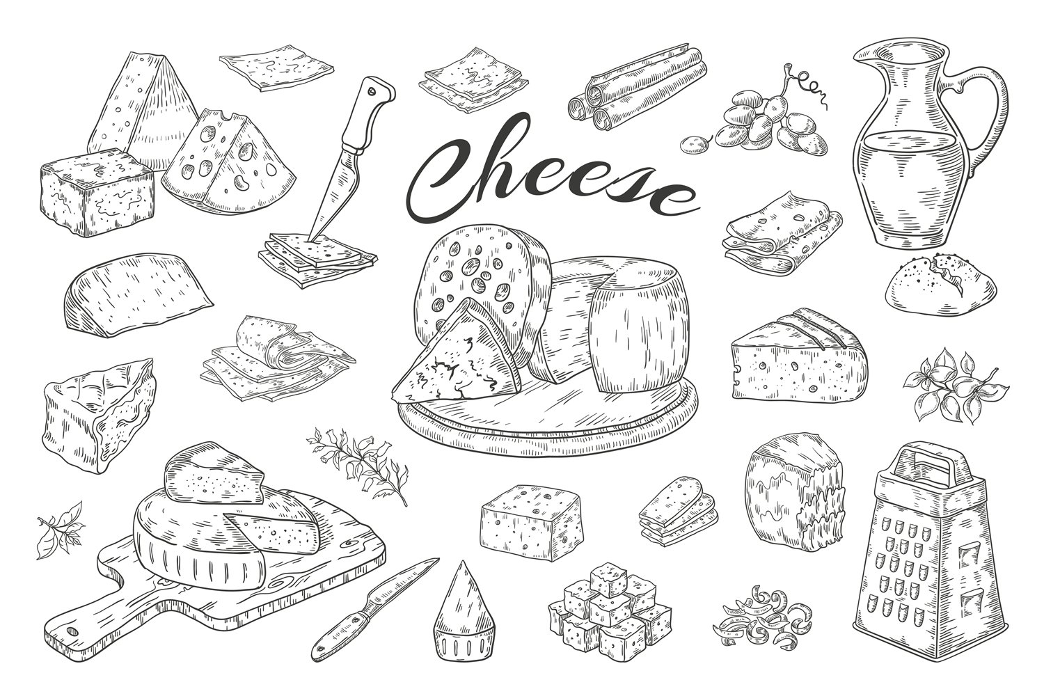 Wonderful sketches of hard cheeses hand-drawn.
