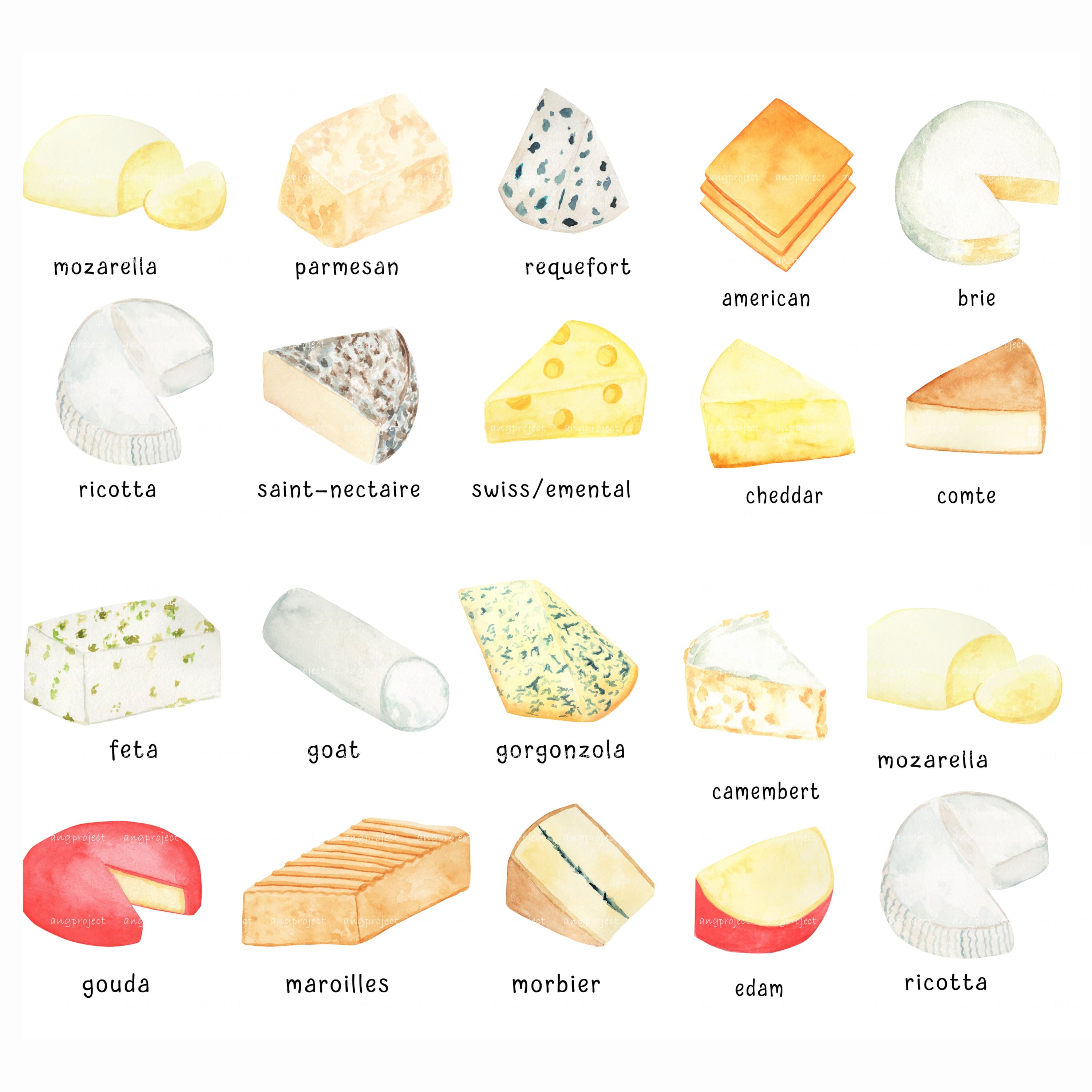 A set of watercolor images of exquisite cheese.