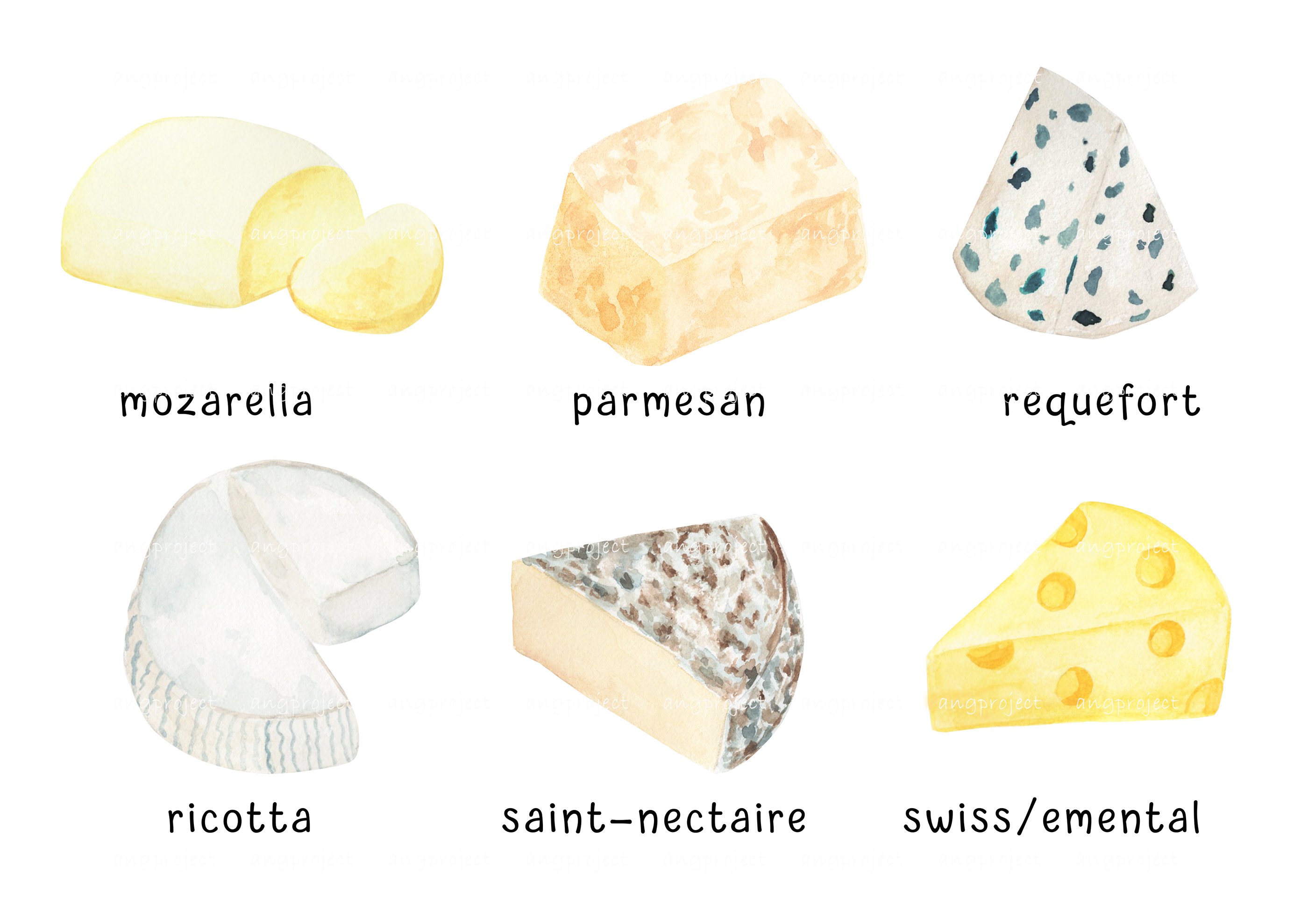 A collection of adorable images of french cheeses.