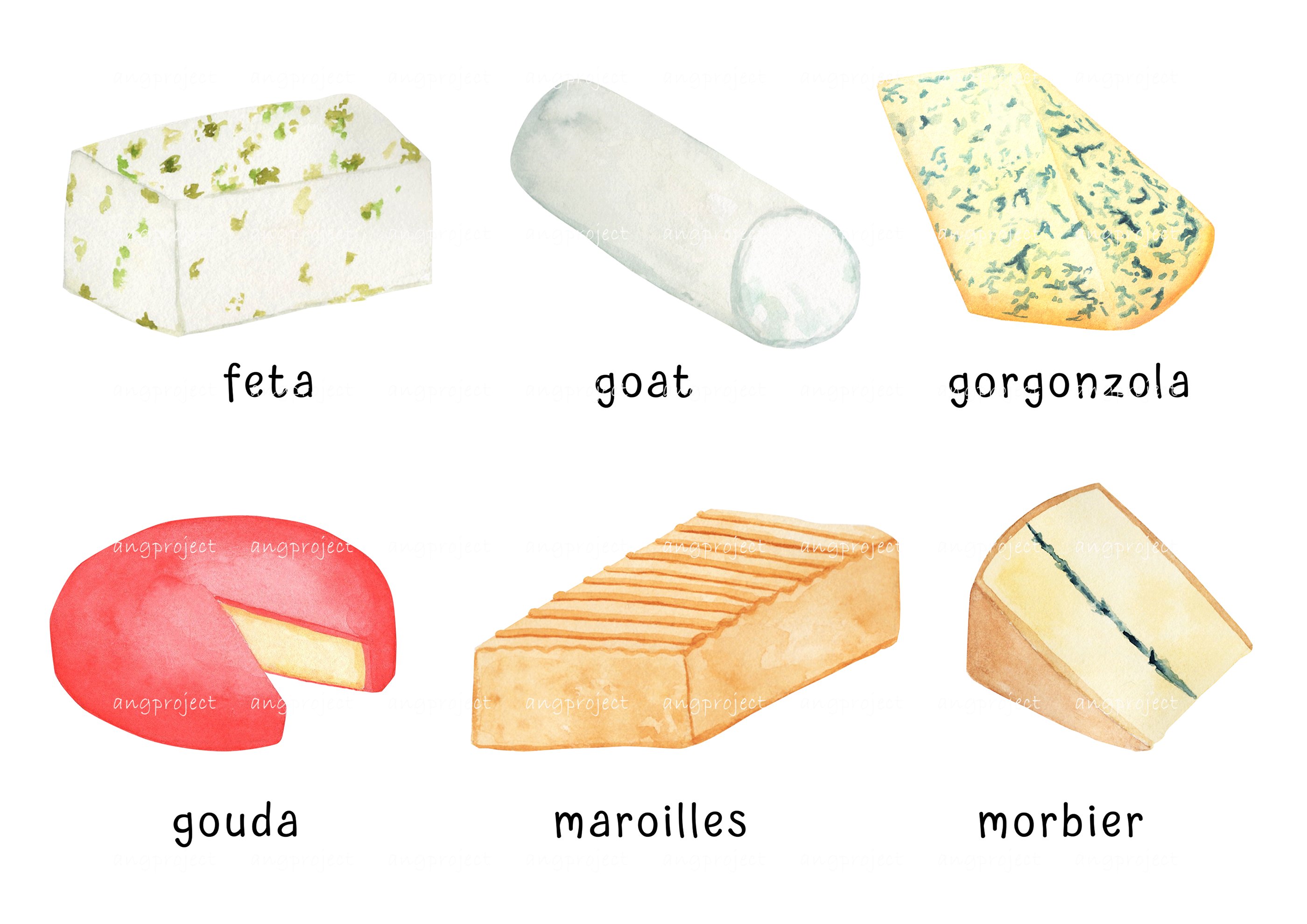 Selection of colorful images of gourmet cheeses.