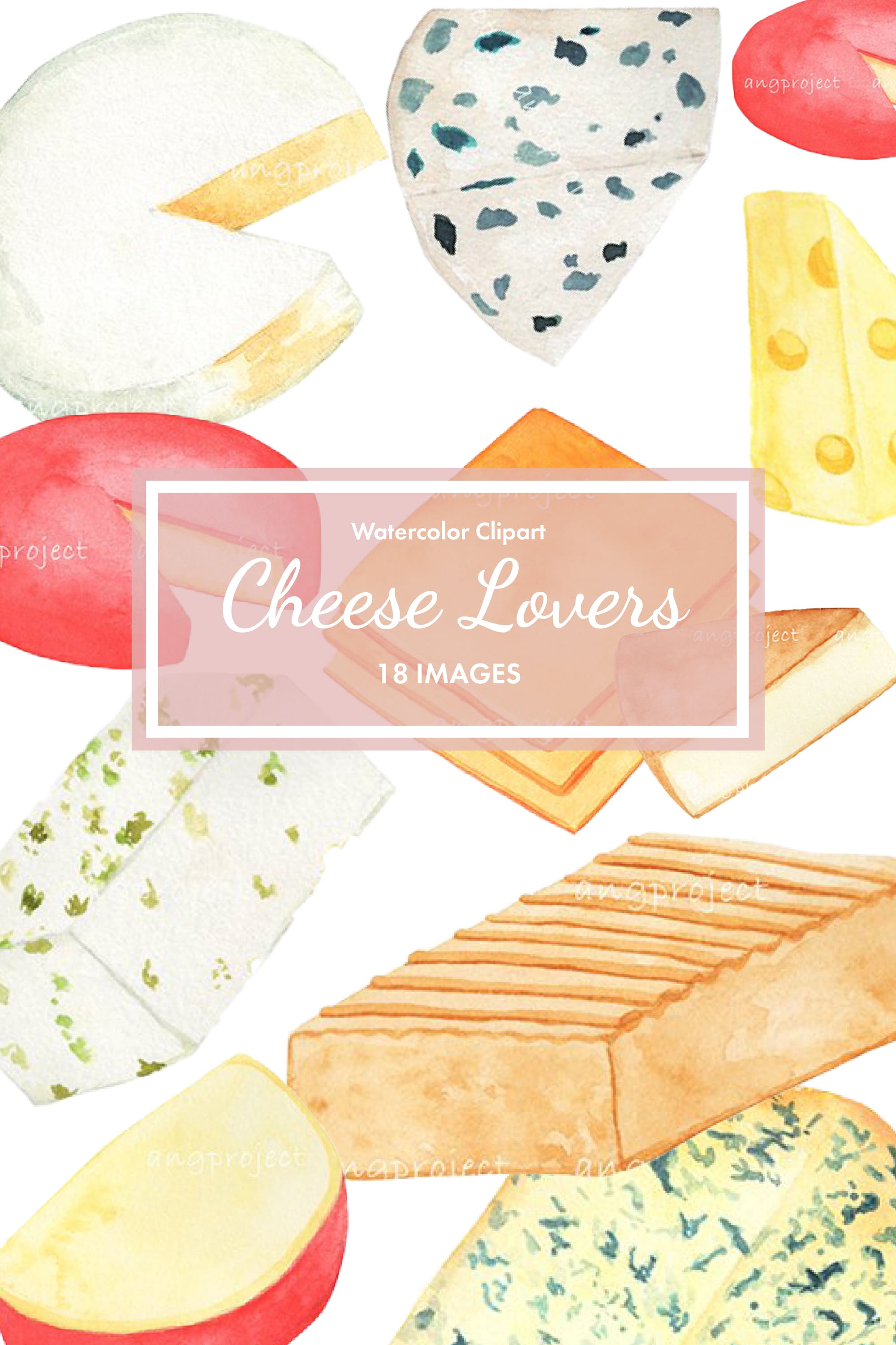 Pack of charming images of hard cheeses.