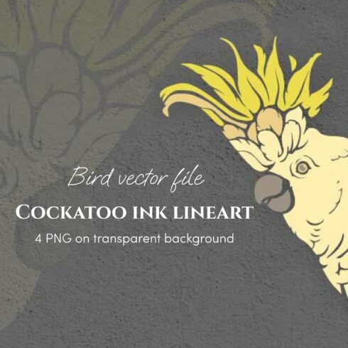 Cockatoo ink lineart, Parrot clip art, Bird vector file.