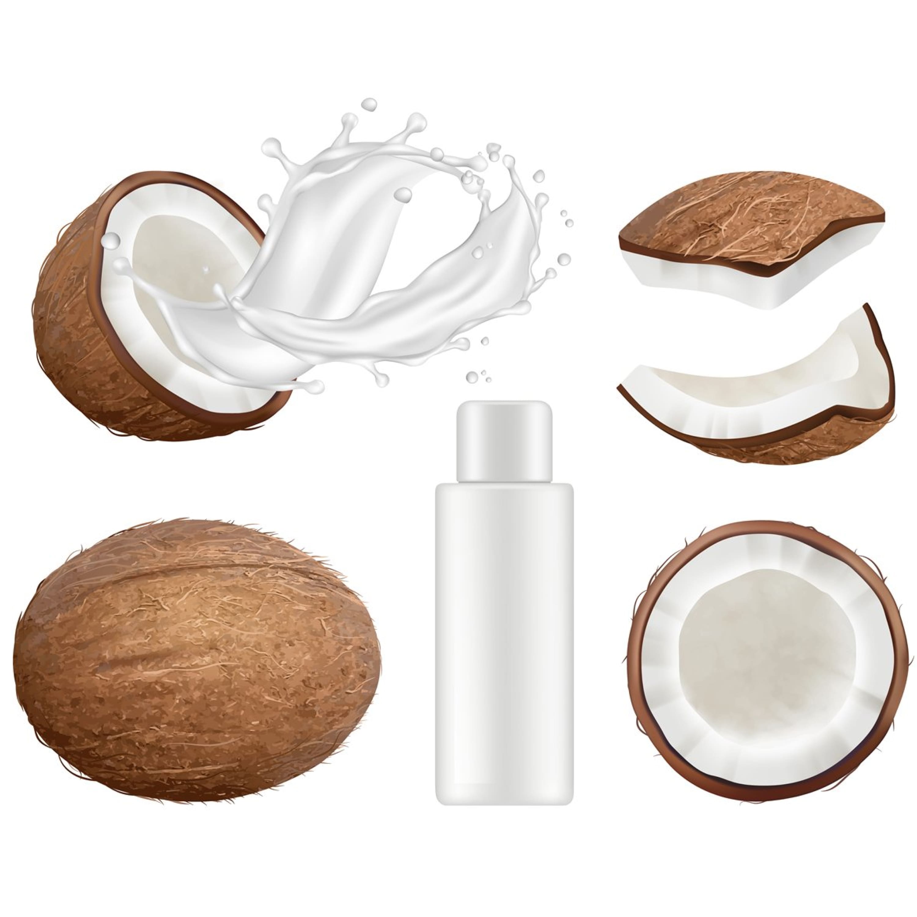 Coconut collection. Fresh tropical coco fruit with milk vect cover.