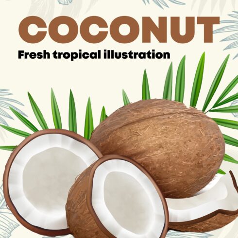 Coconut. Fresh tropical opened coco fruit with milk and palm.