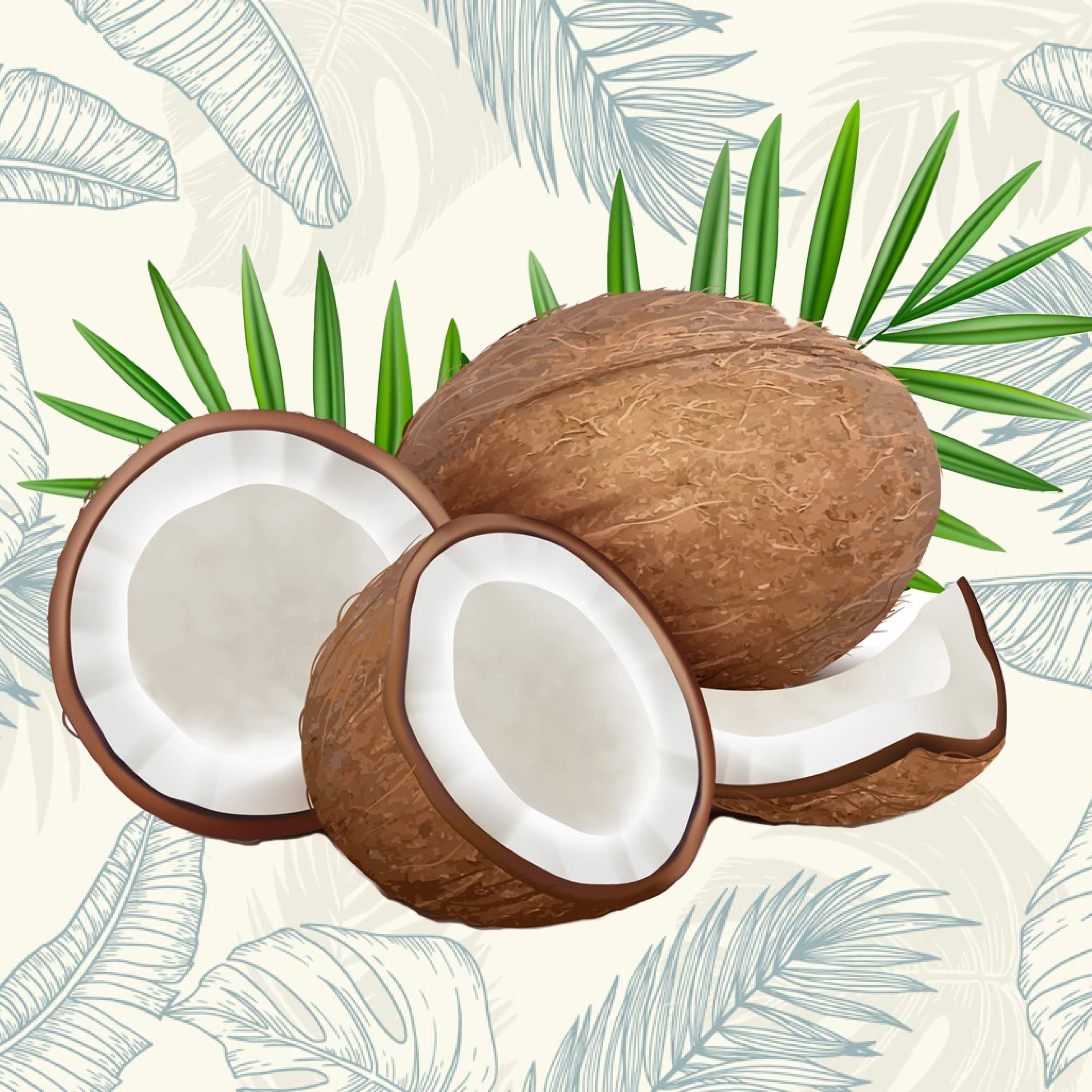 Coconut. Fresh tropical opened coco fruit with milk and palm cover.