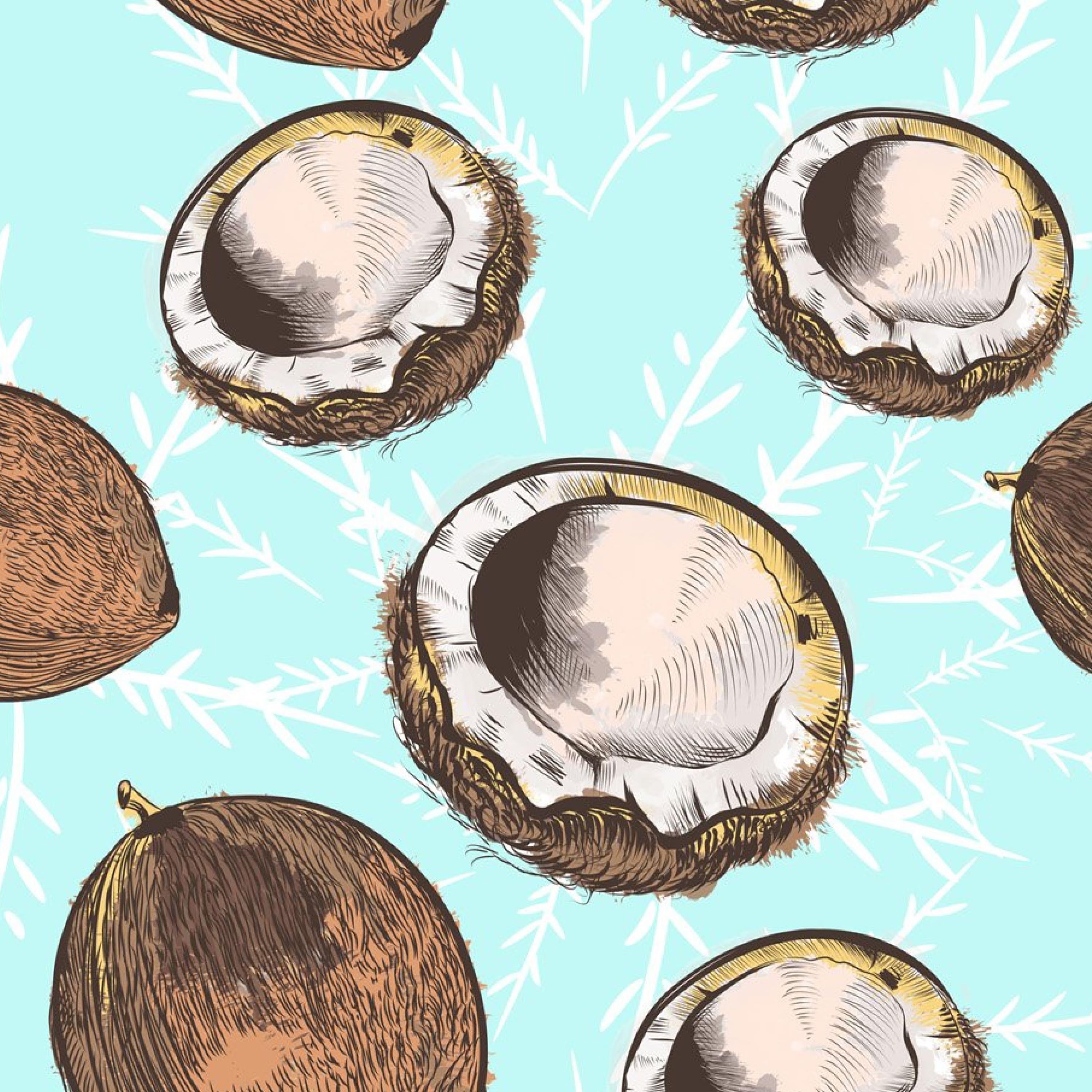 Coconut vector pattern for wallpaper or fabric cover.