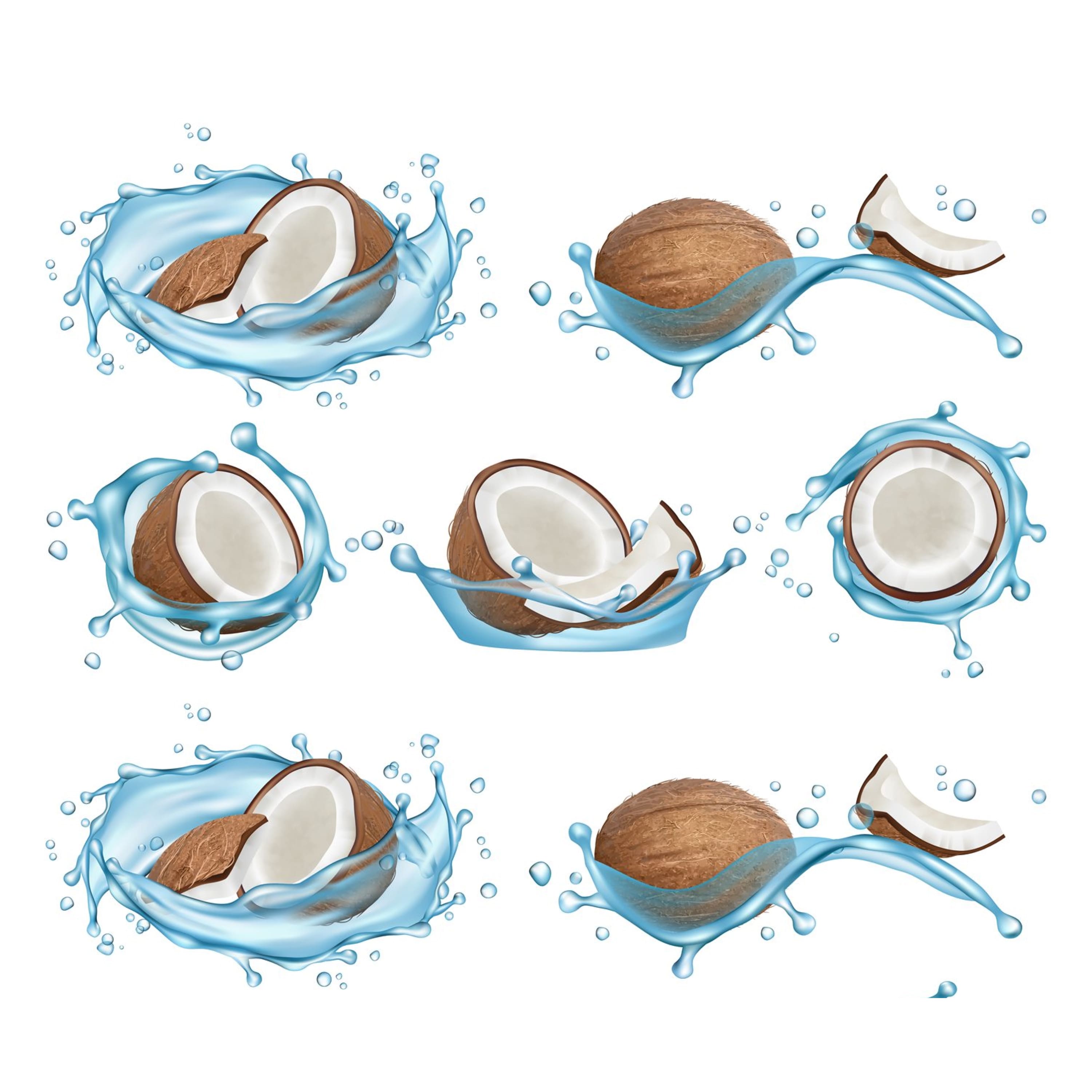 Coconut water set. Vector realistic coconuts and water splas cover.